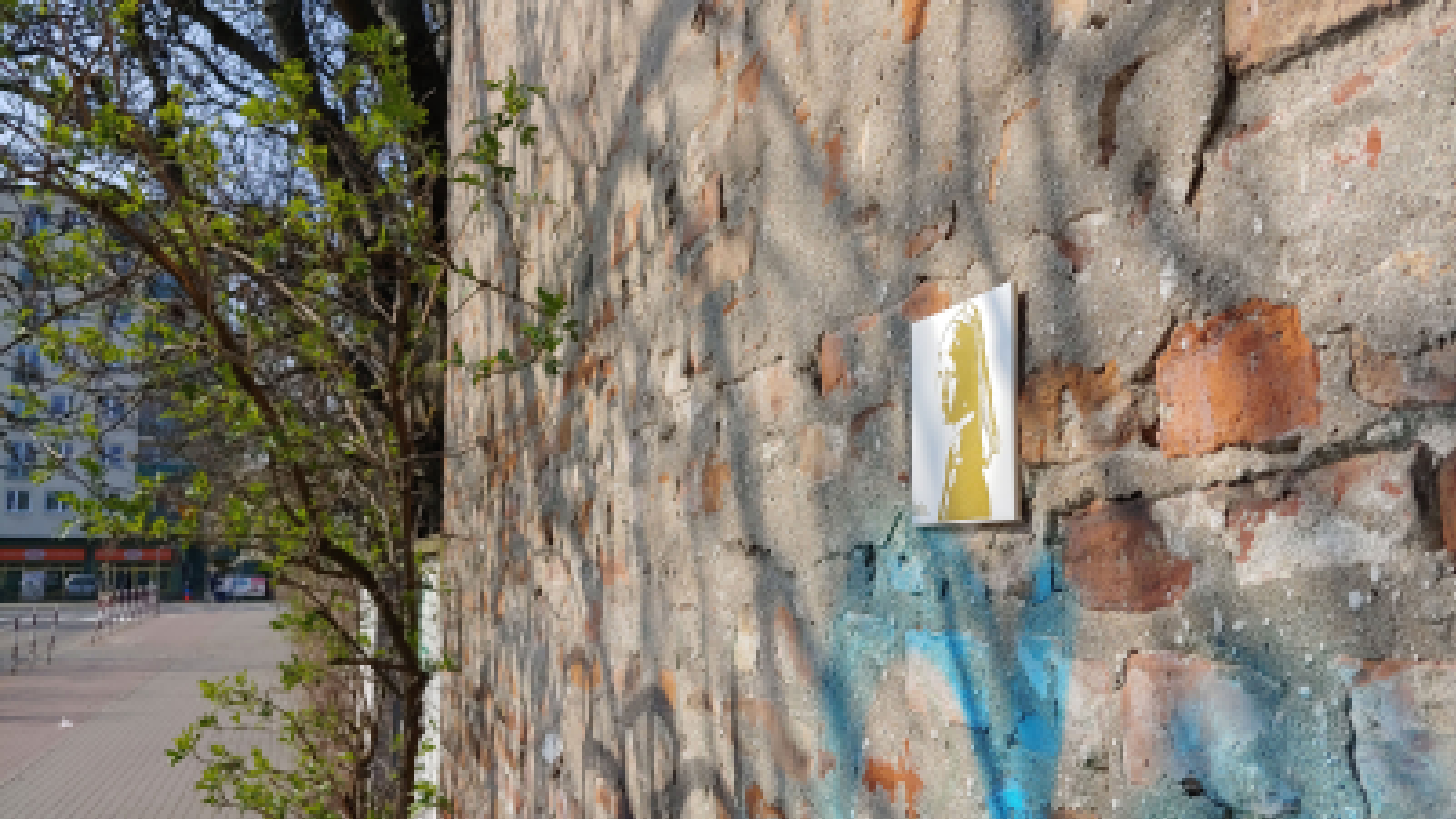 Girl with a Pearl Earring